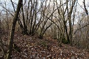 38 Su traccia per bosco scendo alla Stalla Fopp